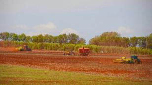 Após vazio sanitário, plantio de soja já começou no Paraná; colheita do milho está no fim