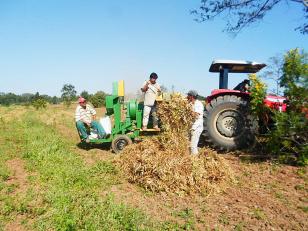 Assistência técnica agrega valor e abre mercado para alimentos produzidos em comunidade indígena