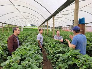 Projeto testa tecnologia para diminuir desperdício de água na irrigação