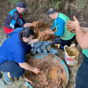 IDR-Paraná beneficia nove famílias e 48 pessoas com proteção de fontes em Rio Branco do Sul