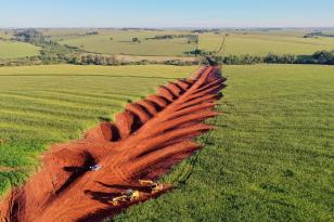 No Dia Nacional da Conservação do Solo, Paraná reforça compromisso com as boas práticas de manejo e comemora 40 anos da lei de preservação do solo