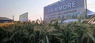 show rural