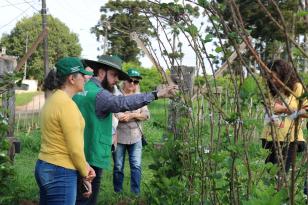 Curso ensina manejo de fruticultura de clima temperado