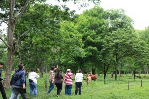 agroecologia