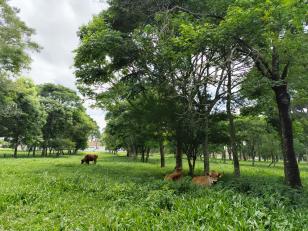 agroecologia