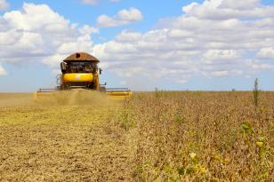 Plano Safra nacional terá R$ 516,2 bilhões; agricultura familiar fica com R$ 89 bilhões