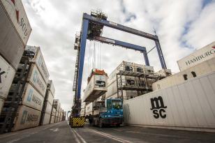 Paraná teve maior crescimento do Brasil nas exportações de carne de peru de janeiro a julho