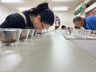 Julgamento em Londrina define vencedores do Café Qualidade Paraná 2025