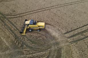 Com quase 47 milhões de toneladas, Paraná registra maior safra de grãos de sua história