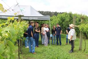 Semana Frutifica Paraná destaca potencial da fruticultura e incentiva jovens a se fixarem no campo  