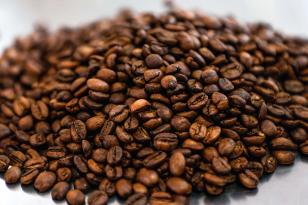 Café e soja garantem as maiores margens do ano para produtores paranaenses, aponta Deral