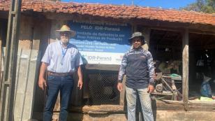 Programa no Paraná fortalece pecuária leiteira e aumenta rentabilidade dos produtores