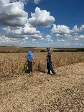 Concurso avalia perdas na colheita de soja, na região de Maringá