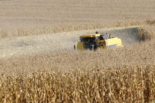  Paraná desponta como novo polo de etanol de milho com salto de 71% na produção 