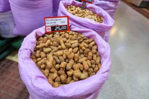  Paraná é o 3º maior exportador de peru do Brasil; safra de amendoim deve ter recorde 