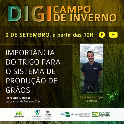Trigo é tema de dia de campo digital