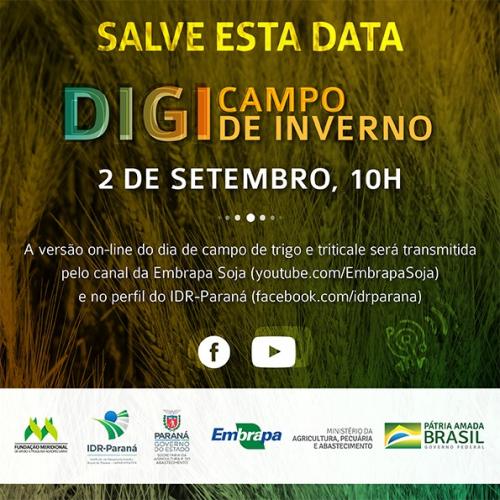 Trigo é tema de dia de campo digital