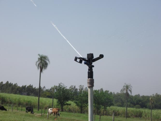 Manual traz metodologia para irrigação de pastagens no Arenito