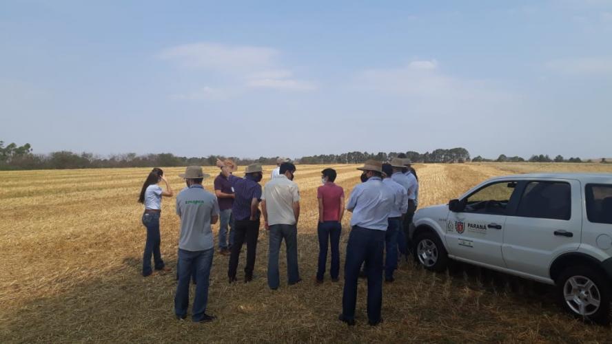 Pesquisa Agroecologia Santa Teresa