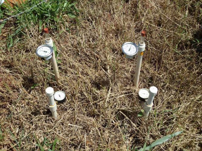 Manual traz metodologia para irrigação de pastagens no Arenito