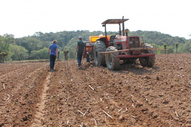 Plantio de feijão está quase concluído e intensifica ações do Projeto Centro-Sul de Feijão e Milho