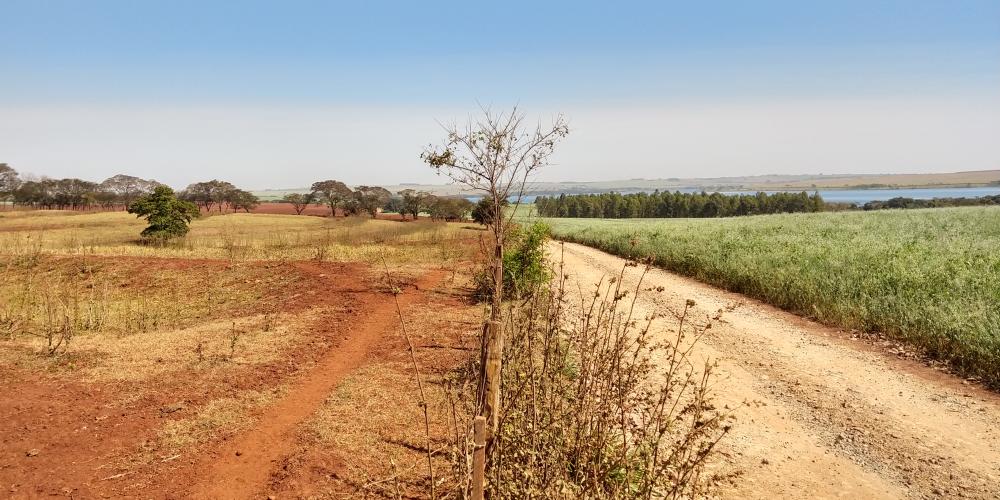 Especialistas falam sobre superação de limitações climáticas para produzir no Arenito Caiuá