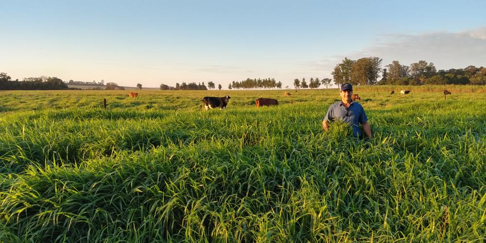 Especialistas falam sobre superação de limitações climáticas para produzir no Arenito Caiuá