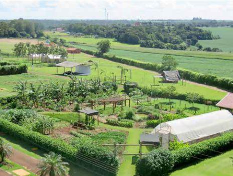 Agroecologia é tema de reunião online da Acamdoze