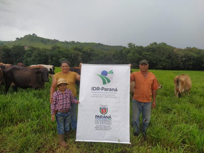 Produtor de Iretama investe em pasto e aumenta a produção de leite