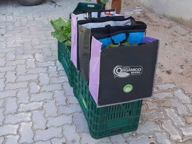 Projeto Cestas Solidárias beneficia produtor familiar e consumidor