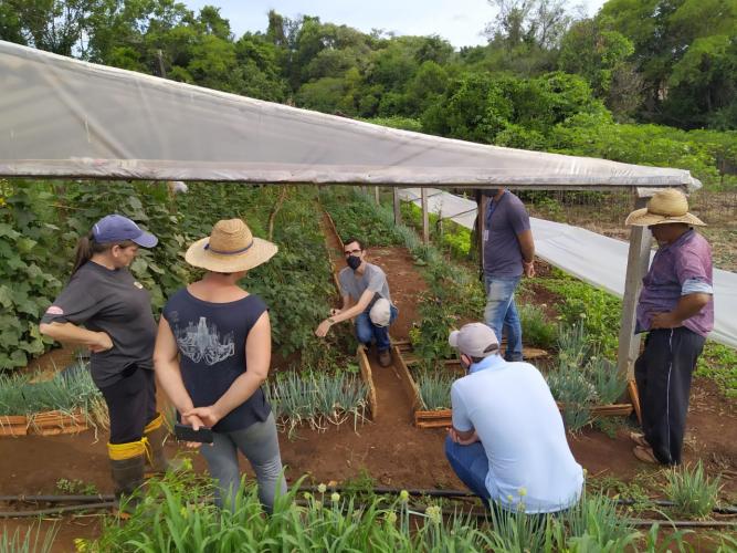 Extensão Rural completa 65 anos de atuação no Paraná