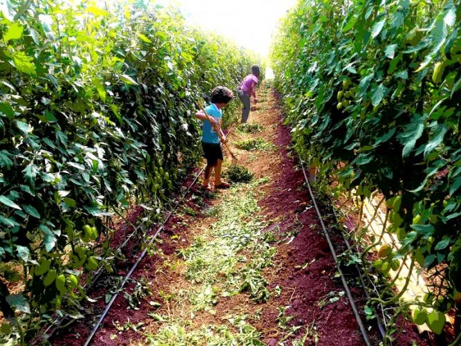 Série Mulheres Rurais: Mãe e agricultora que preza pela alimentação saudável e não tem medo de desafios 