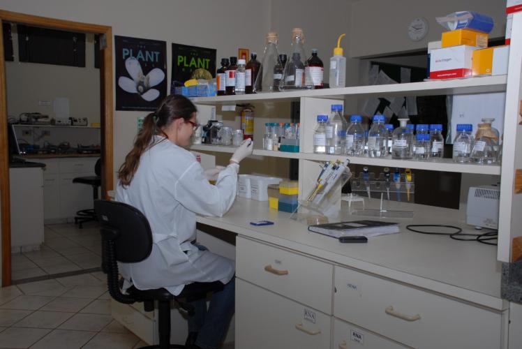 Diretor-presidente do IDR-Paraná lembra aniversário da pesquisa