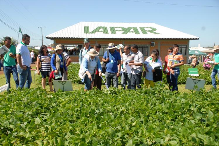 Diretor-presidente do IDR-Paraná lembra aniversário da pesquisa