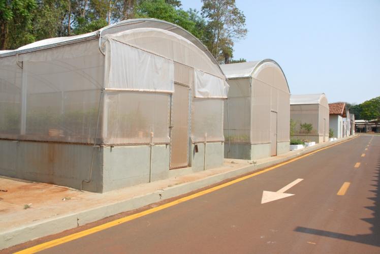 Diretor-presidente do IDR-Paraná lembra aniversário da pesquisa