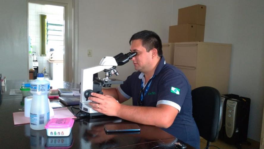 Parceria entre IDR-Paraná e agricultores: aquisição de microscópio traz agilidade na escolha de defensivos agrícolas