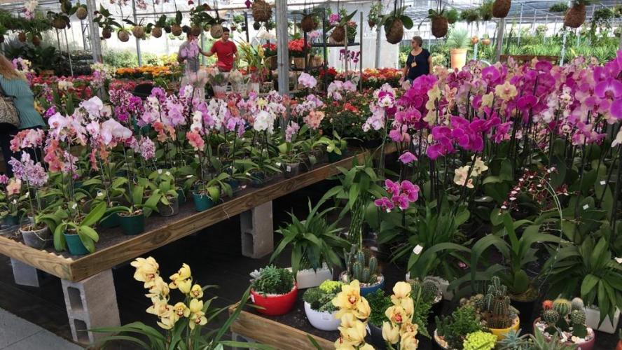 Série Banco do Agricultor Paranaense: Conheça os critérios para a aprovação de projetos de Agroindústrias, Olericultura e Floricultura