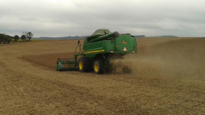 Uso agrícola do lodo do esgoto completa 10 anos nas regiões de Campo Mourão e Umuarama