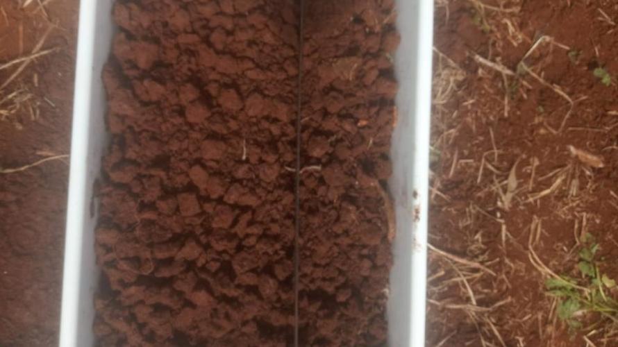 Projeto vai divulgar boas práticas de manejo do solo  em sistema de plantio direto no estado