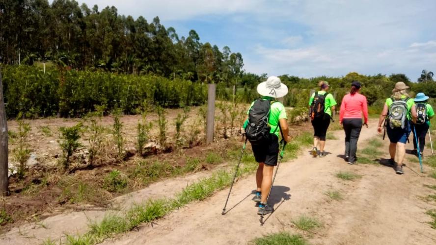 IDR-Paraná prepara retorno das Caminhadas na Natureza