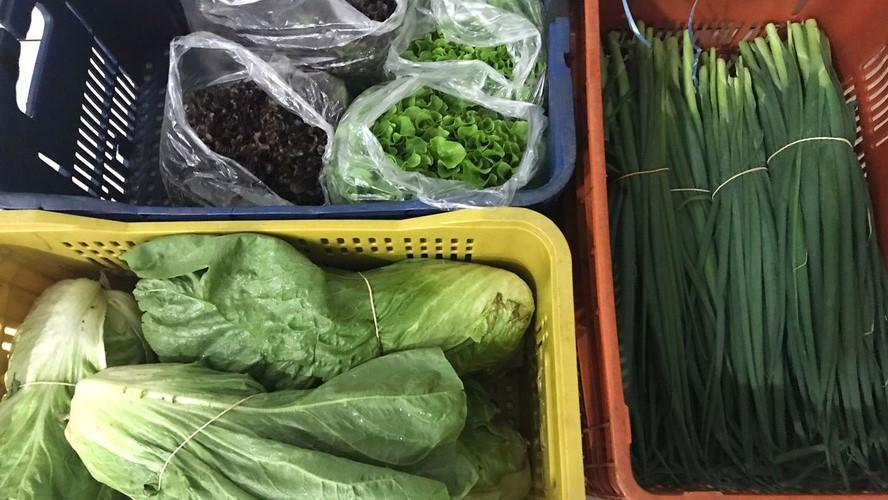 Nova cooperativa regional vai fortalecer agricultura familiar no Noroeste