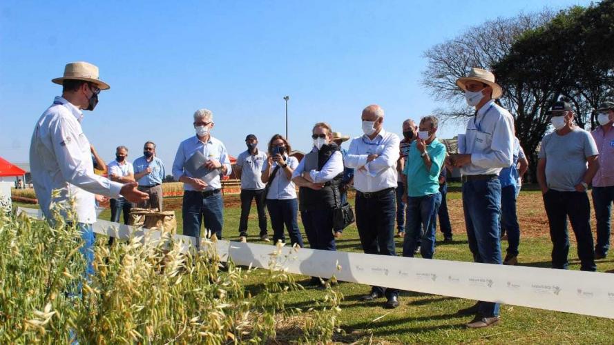 Show Rural de Inverno