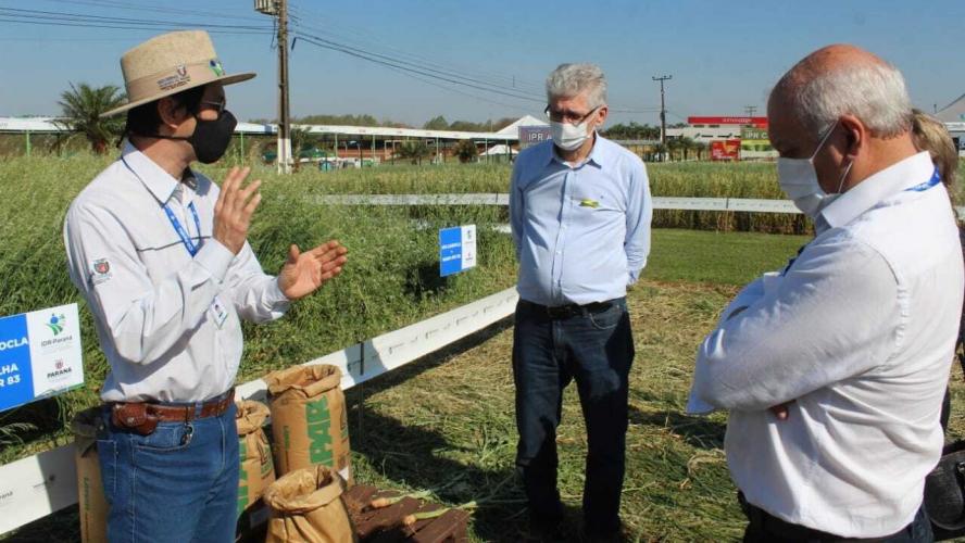 Show Rural de Inverno