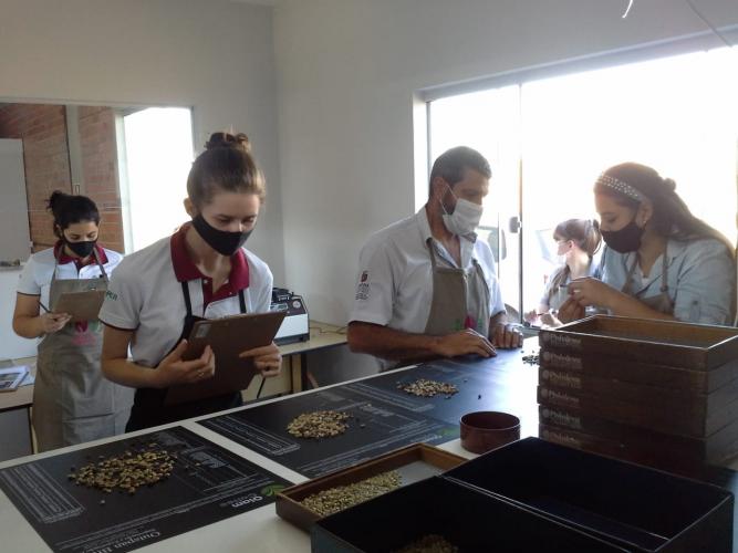 Ficafé reúne produtores, compradores e técnicos em evento virtual