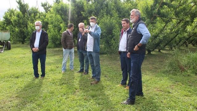 Estação de Pesquisa da Lapa mostra variedades de frutíferas para produtores