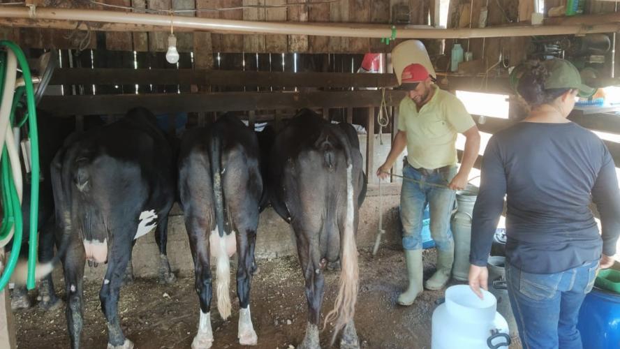 Projetos do Banco do Agricultor somam  R$ 152 milhões em investimentos no estado  