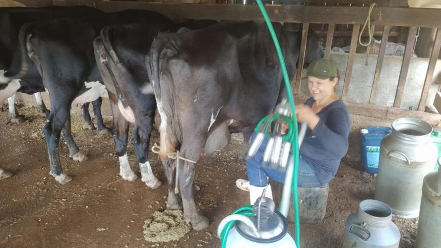 Projetos do Banco do Agricultor somam  R$ 152 milhões em investimentos no estado  