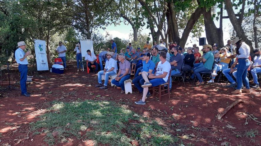 Giro Técnico da soja reuniu 1.300 pessoas em todo o estado