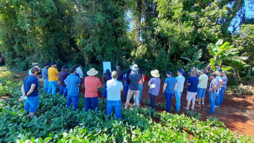 Giro Técnico da soja reuniu 1.300 pessoas em todo o estado