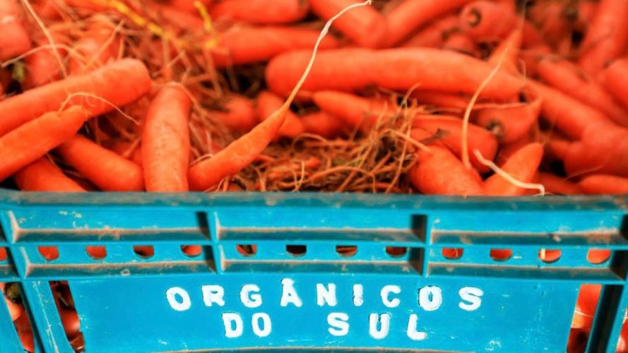 Com milhares de produtos certificados, Paraná aposta no cultivo de orgânicos